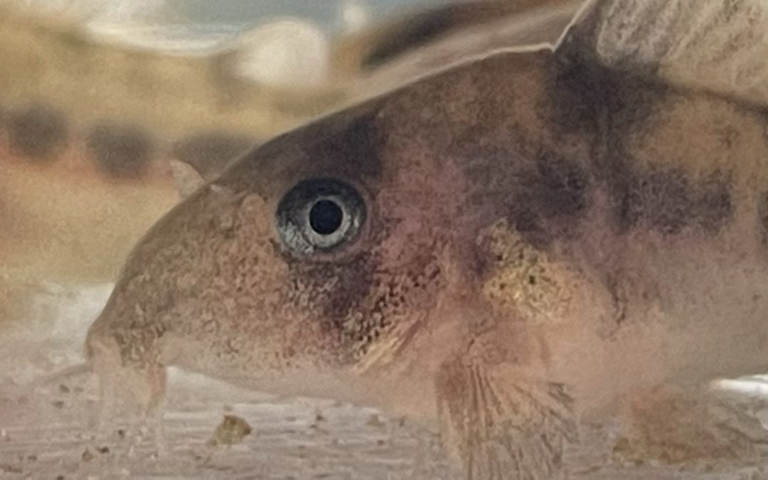 二本目はまだ！？