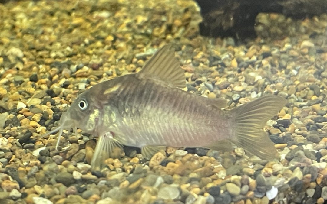 完全復活 & 将来に思う事