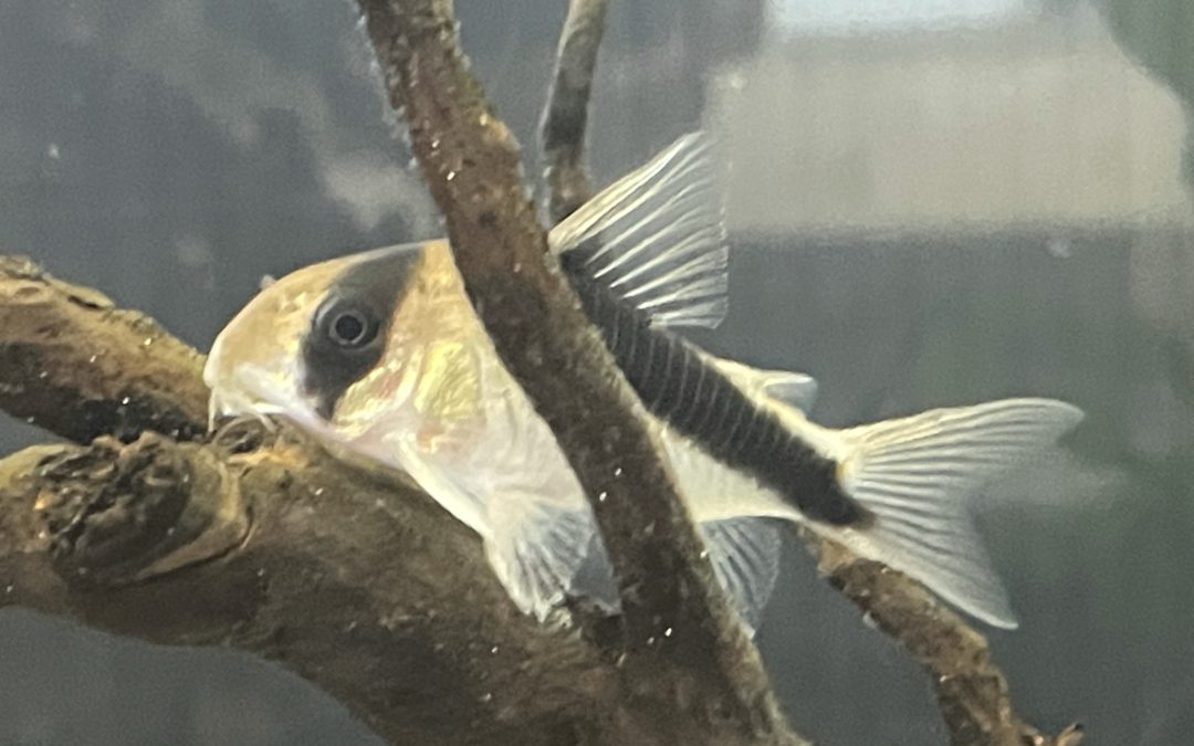 予想より早く〜お気に入りの場所