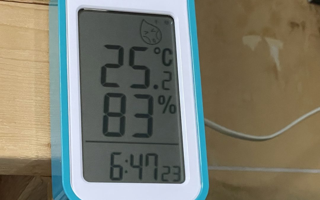 夏本番 ＆ ５０日以上