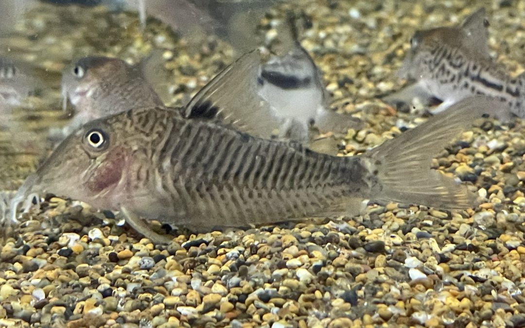 皆を追い越した！