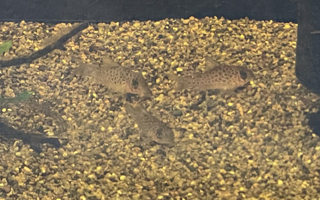 イトメでVIP待遇！