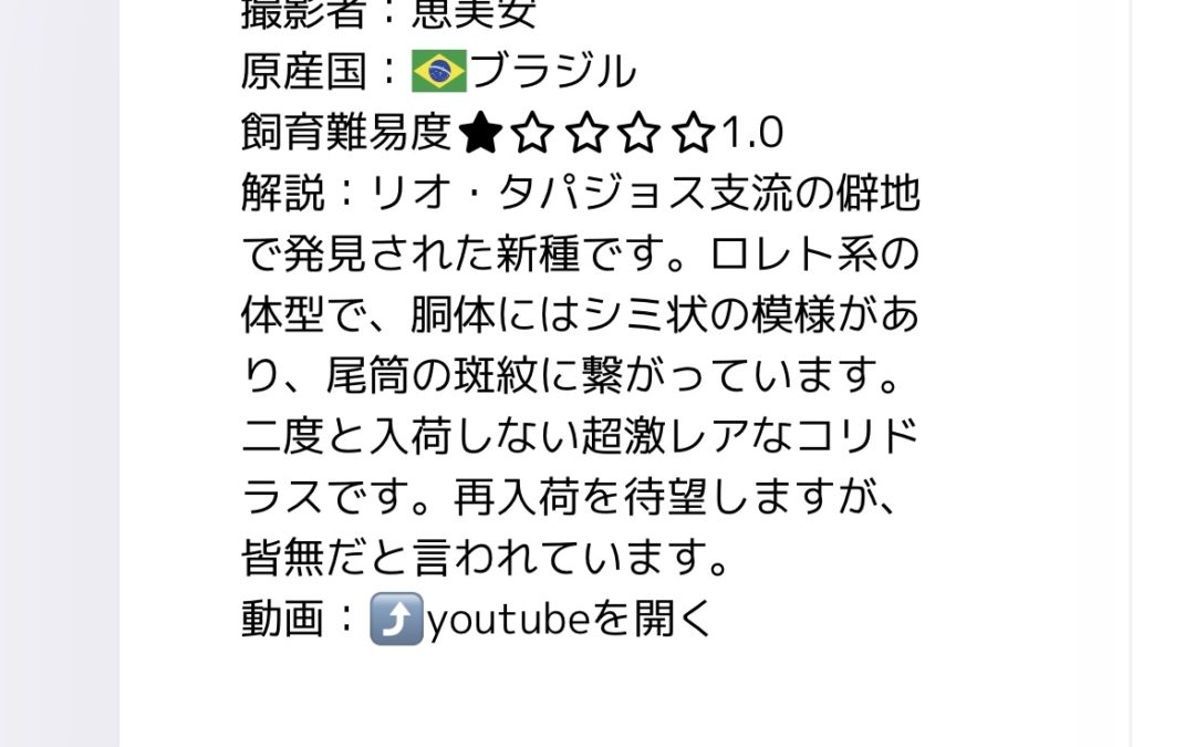 動画 & 汚いジュタイ