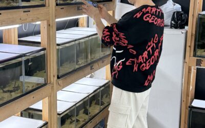 韓国のお友達 & コル玉