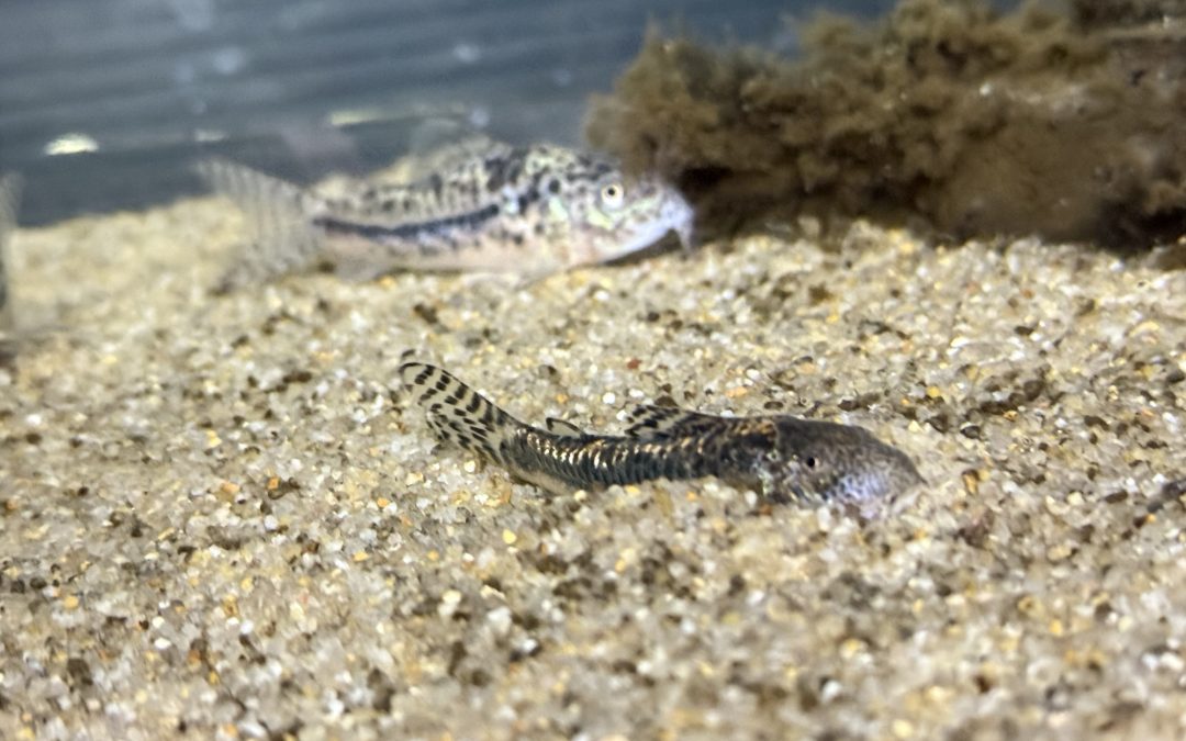 寝床を設ける奴ら & 韓国からのツアー？ & 空き物件